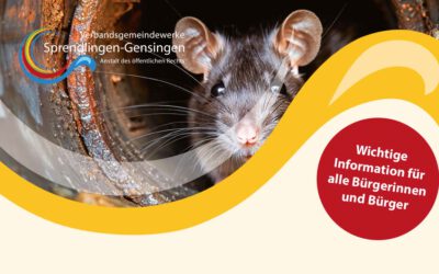 Warum gibt es Ratten im Kanal